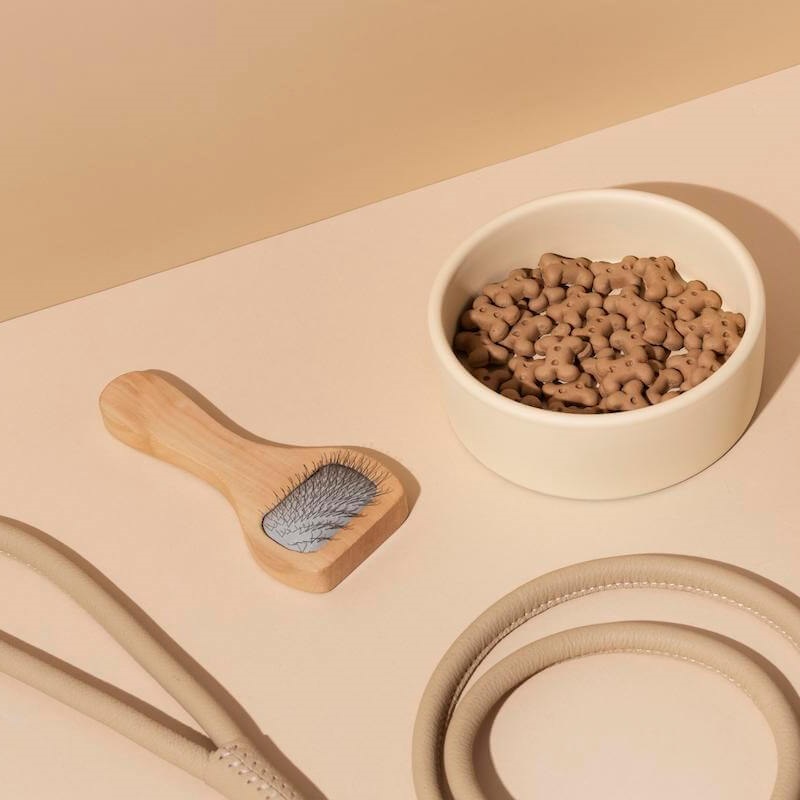 Pet Accessories